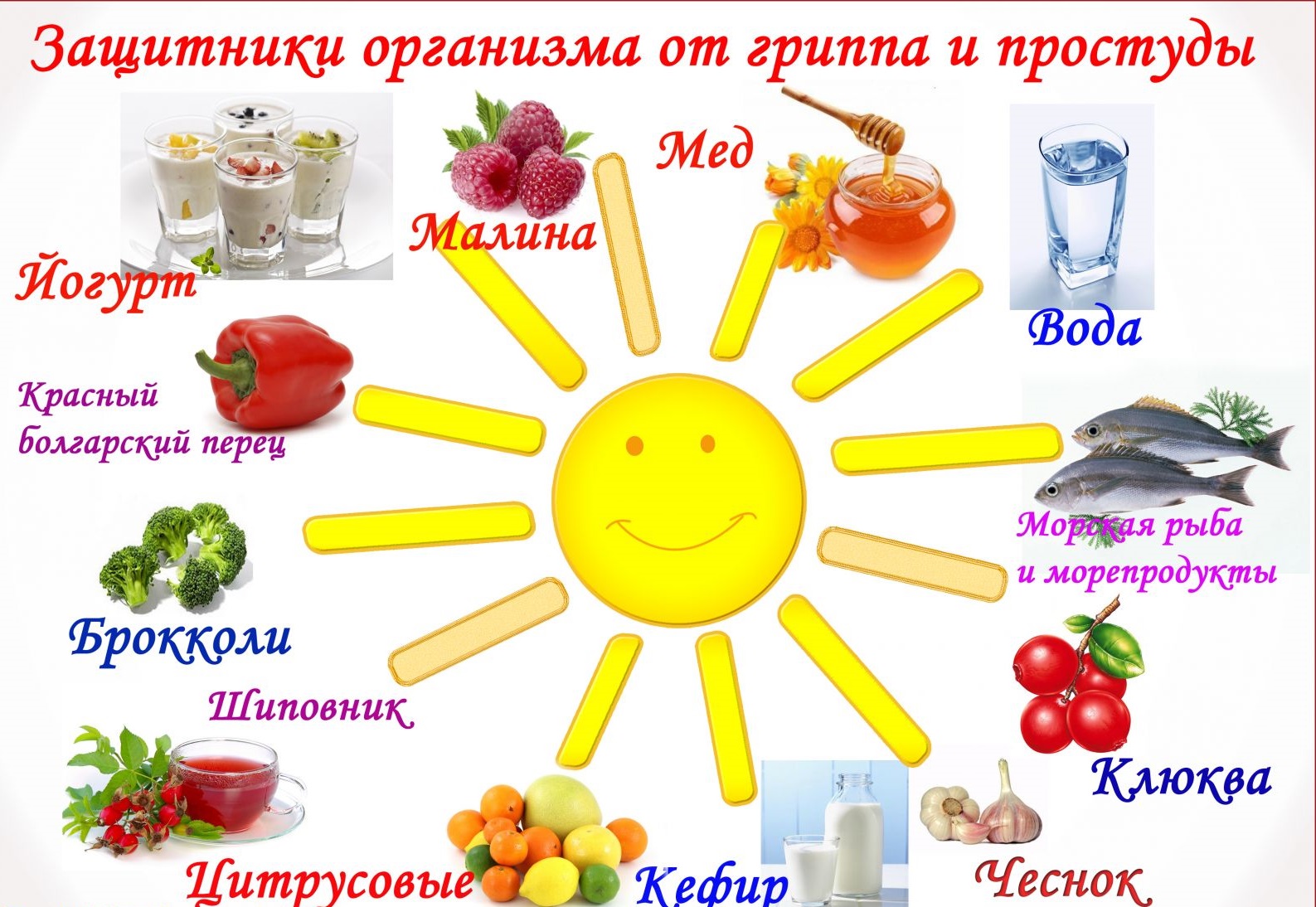 a52de5437471e4a554e49def53c04f46