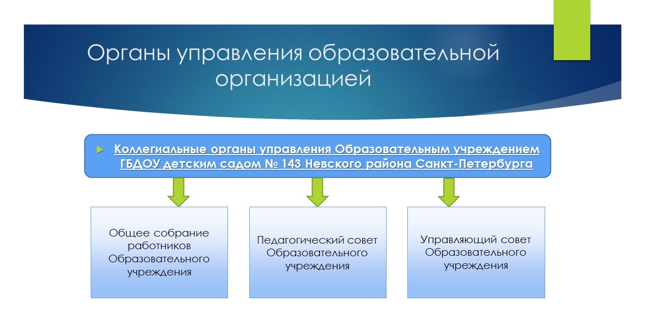Органы 2